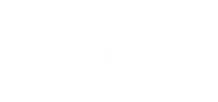 Website logo.